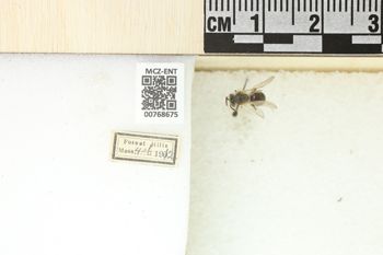 Media type: image;   Entomology 768675 Aspect: Labels